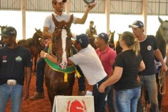 Julgamento Cavalo Mangalarga Marchador