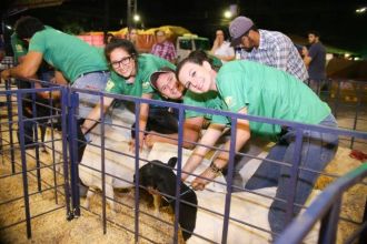 Feira de pequenos animais