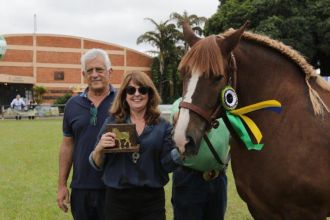 17ª Exposição Nacional do Cavalo Bretão - Julgamento de Conformação