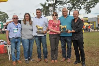 1º Campeonato Nacional Cavalo Bretão