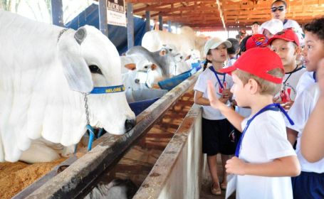 Aberto credenciamento para visitas de escolas e entidades