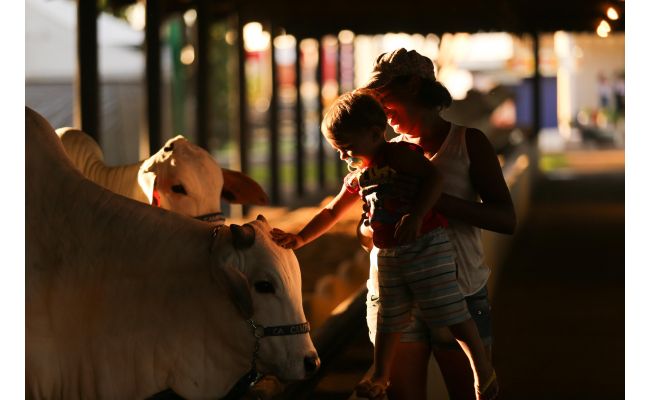 Confira os valores dos ingressos para a ExpoLondrina 