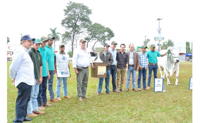 Vila dos Pinheiros é a melhor expositora de Nelore da ExpoLondrina 2017