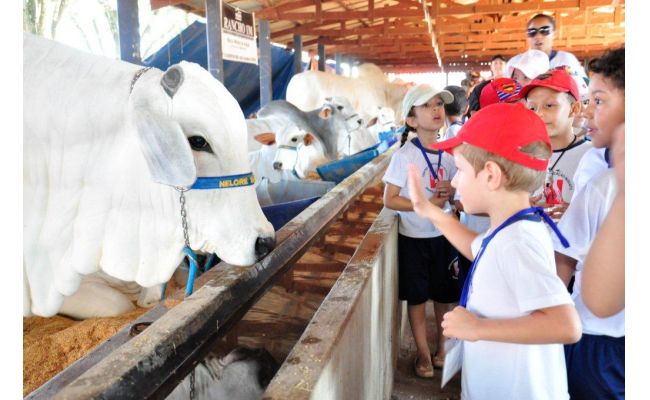 Visita dos estudantes e entidades ao Parque de Exposições começa nesta segunda